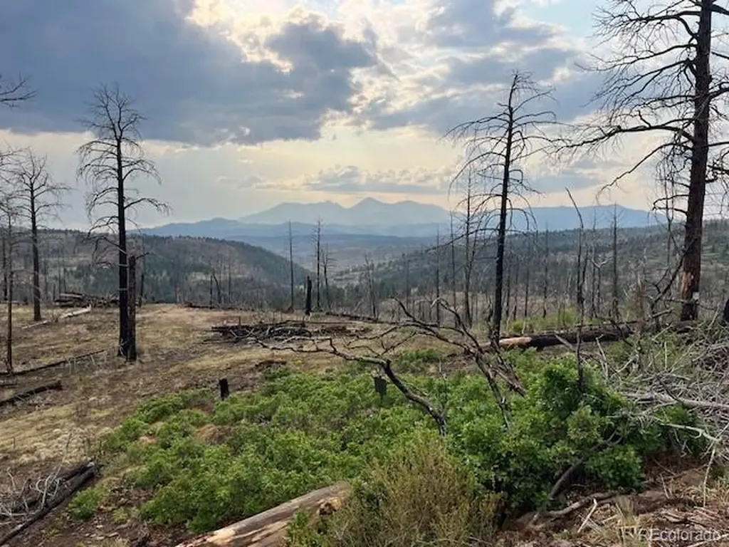 Lot 369-370 Powers Road Fort Garland CO 81133