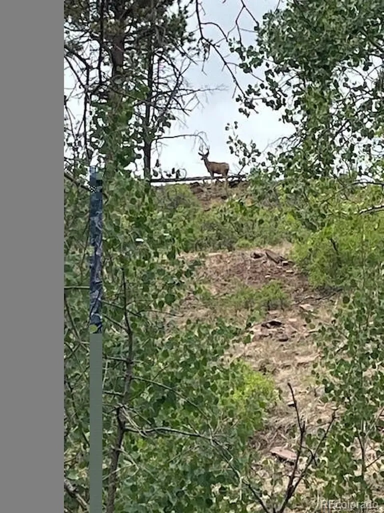 Lot 369-370 Powers Road Fort Garland CO 81133