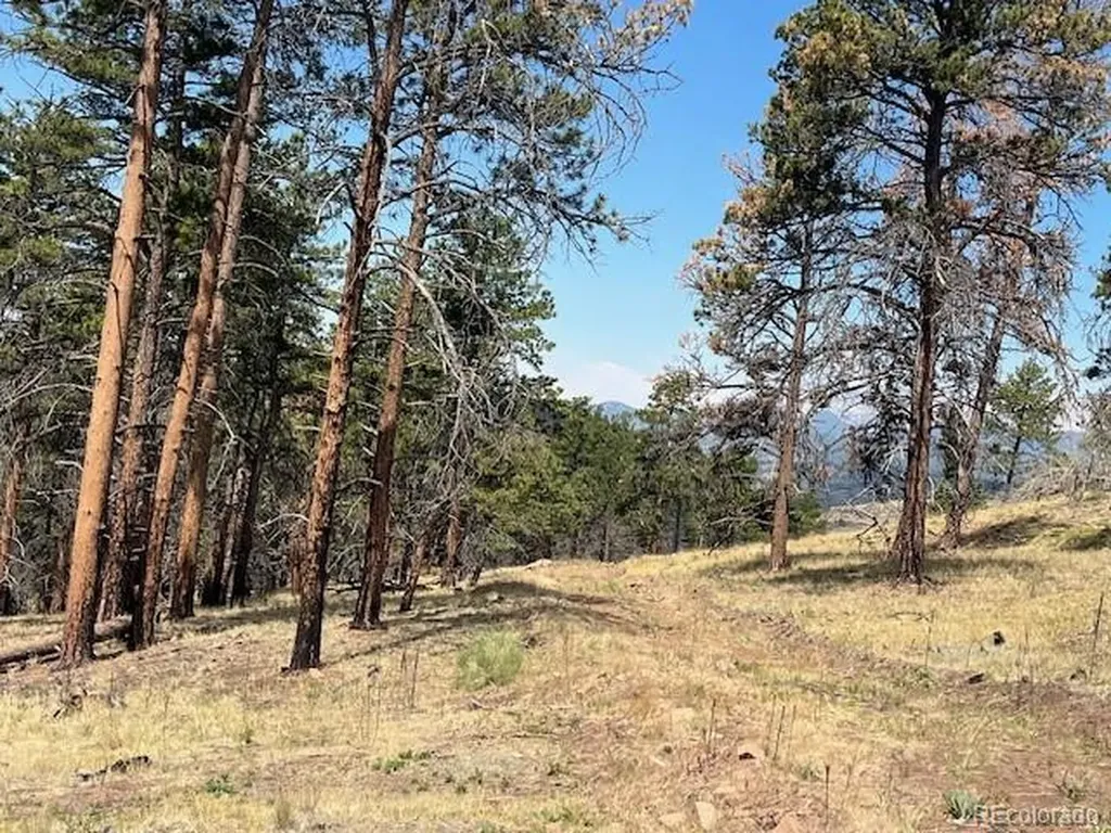 Lot 369-370 Powers Road Fort Garland CO 81133