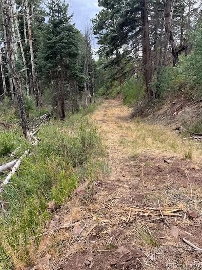 Lot 369-370 Powers Road Fort Garland CO 81133