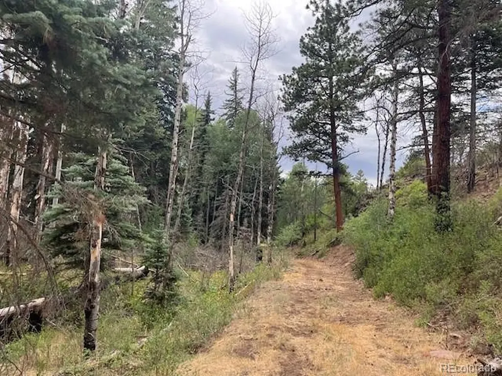 Lot 369-370 Powers Road Fort Garland CO 81133