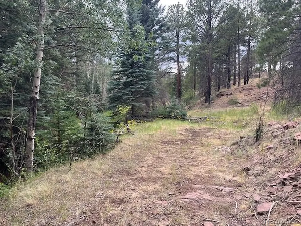 Lot 369-370 Powers Road Fort Garland CO 81133