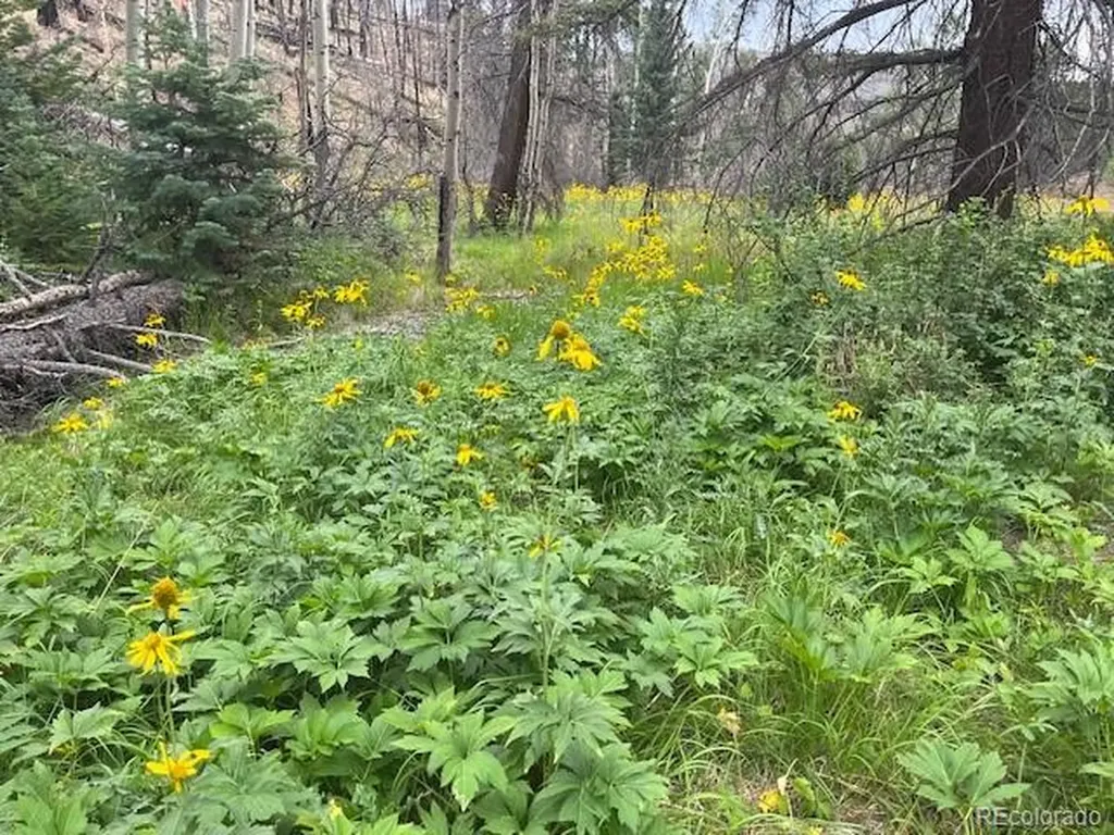 Lot 369-370 Powers Road Fort Garland CO 81133