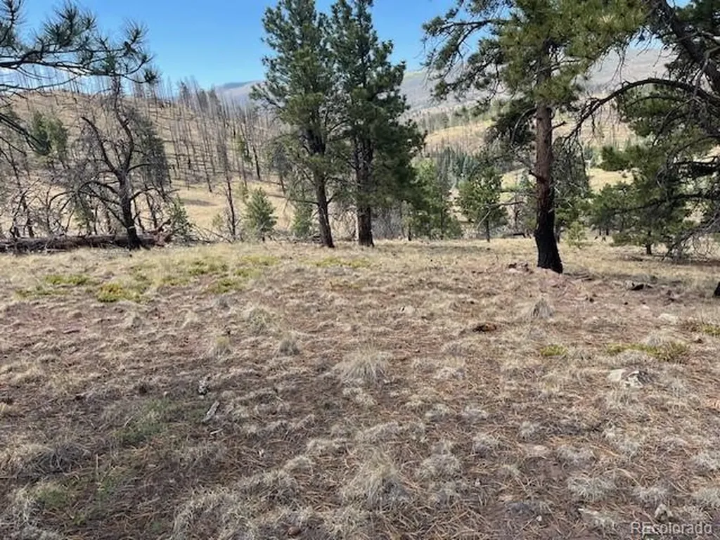 Lot 369-370 Powers Road Fort Garland CO 81133