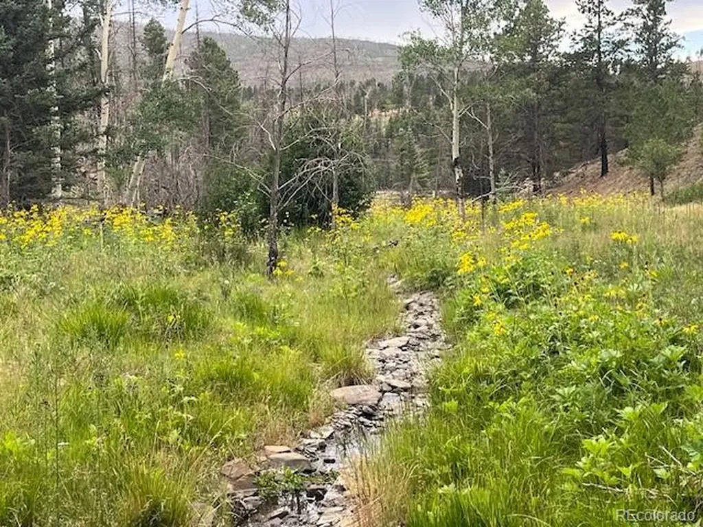 Lot 369-370 Powers Road Fort Garland CO 81133