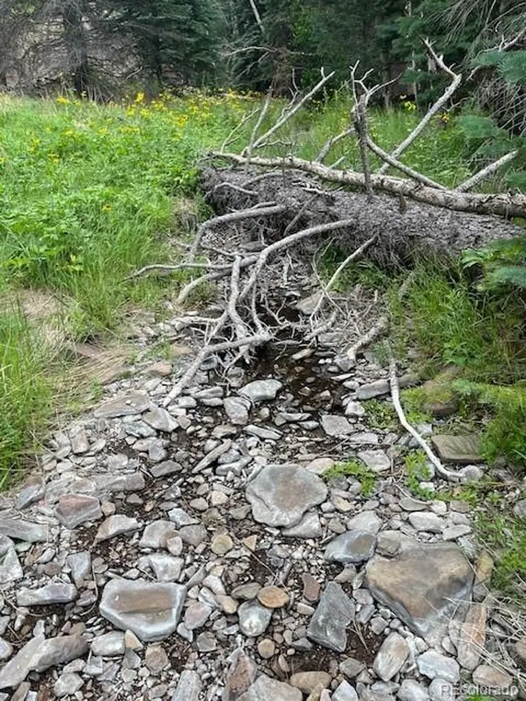 Lot 369-370 Powers Road Fort Garland CO 81133