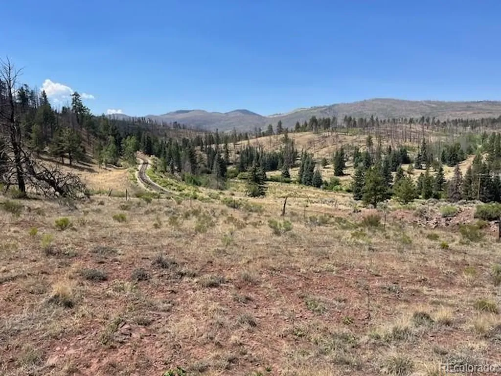 Lot 369-370 Powers Road Fort Garland CO 81133