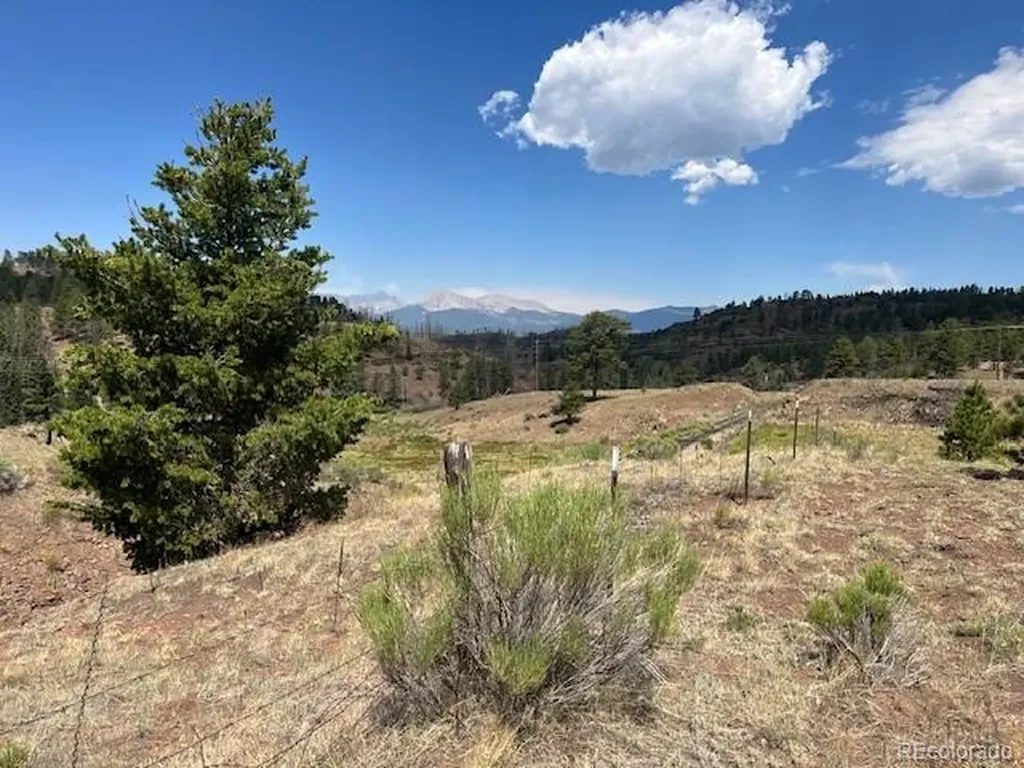 Lot 369-370 Powers Road Fort Garland CO 81133