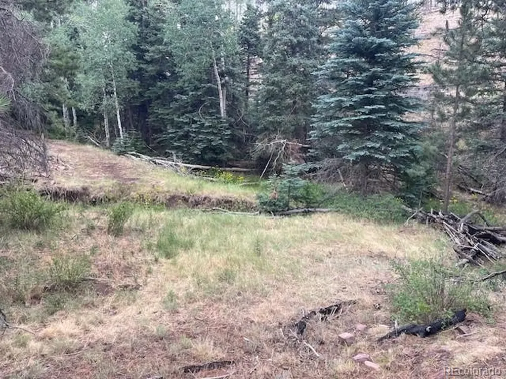 Lot 369-370 Powers Road Fort Garland CO 81133