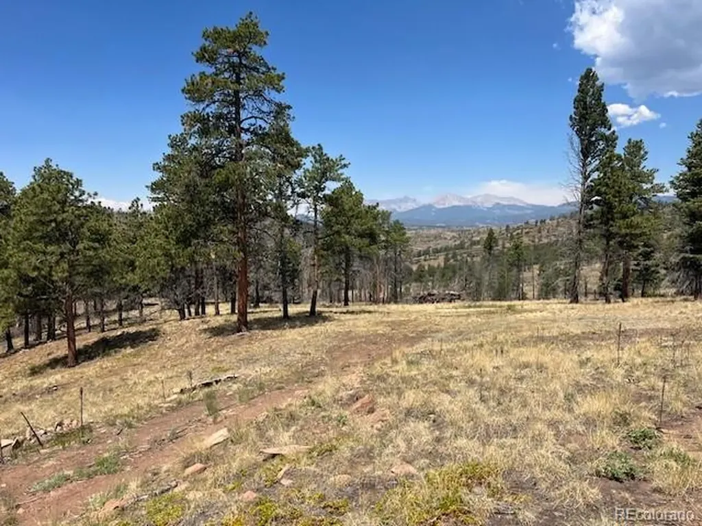 Lot 369-370 Powers Road Fort Garland CO 81133