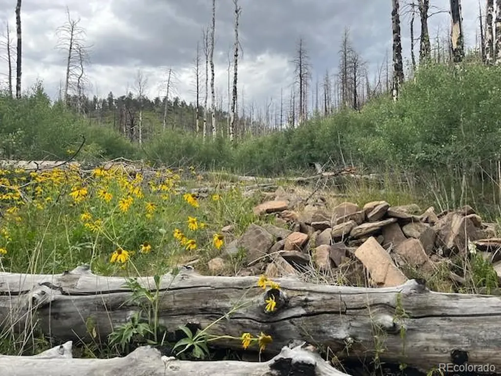 Lot 369-370 Powers Road Fort Garland CO 81133