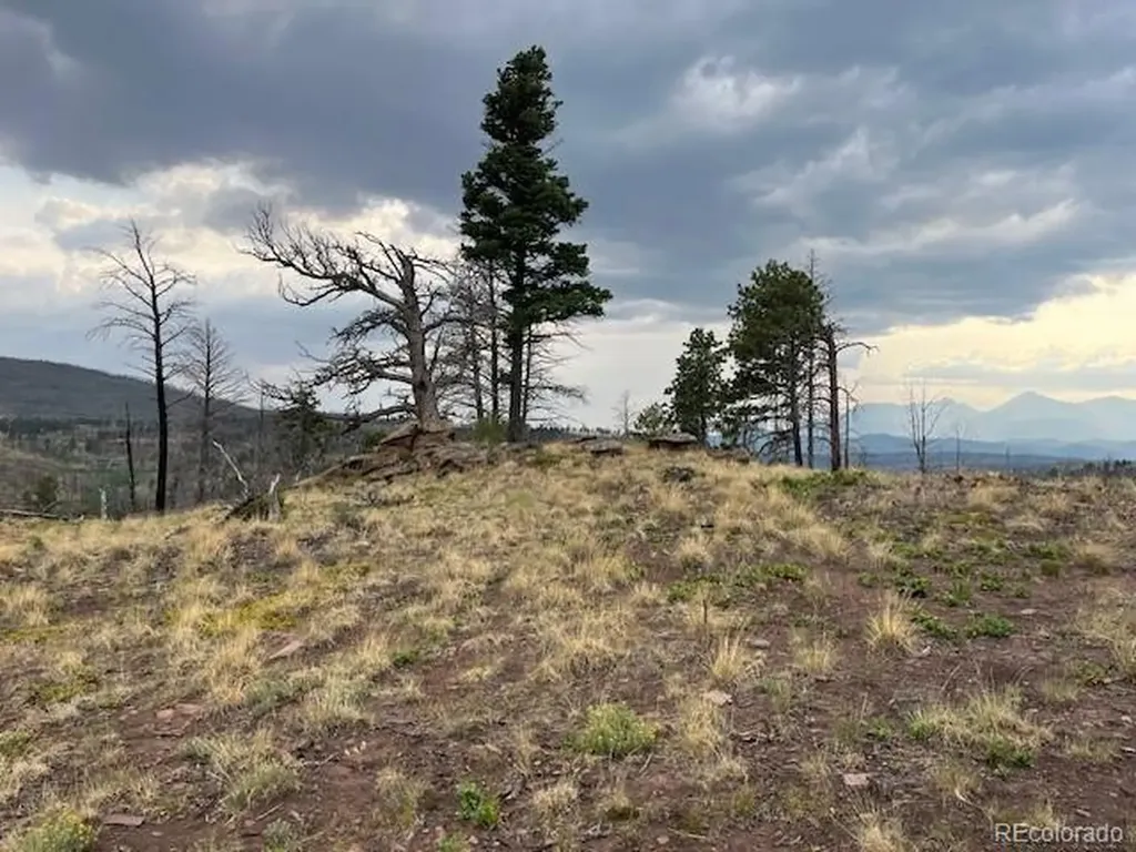 Lot 369-370 Powers Road Fort Garland CO 81133