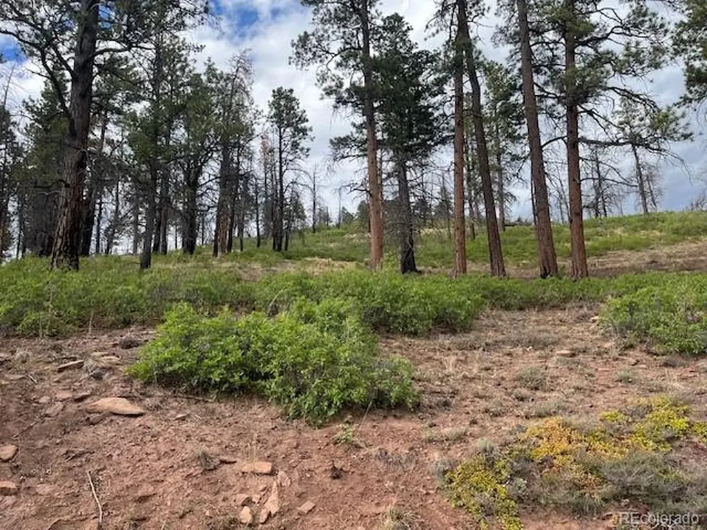 Lot 369-370 Powers Road Fort Garland CO 81133