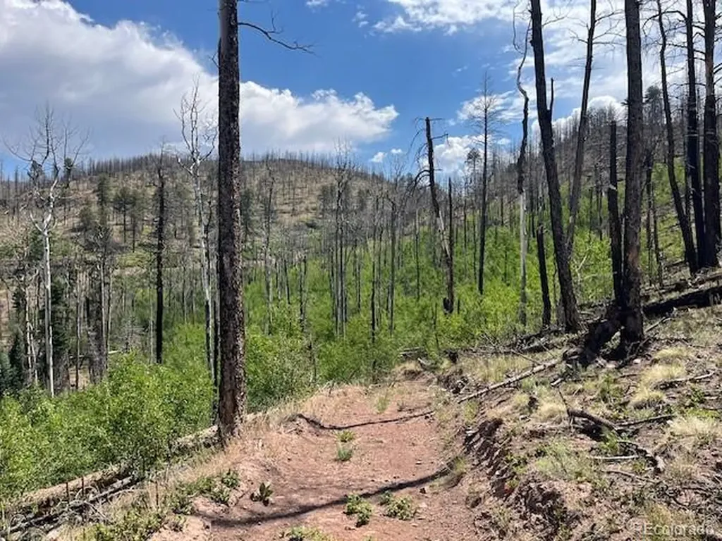 Lot 369-370 Powers Road Fort Garland CO 81133