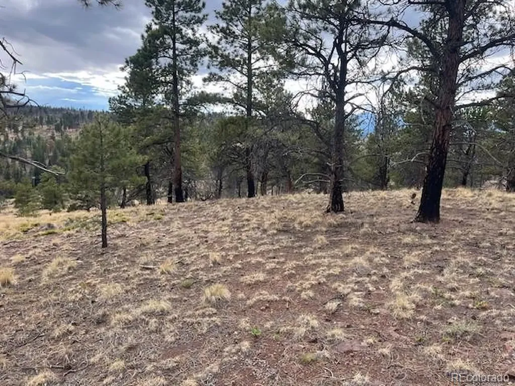 Lot 369-370 Powers Road Fort Garland CO 81133