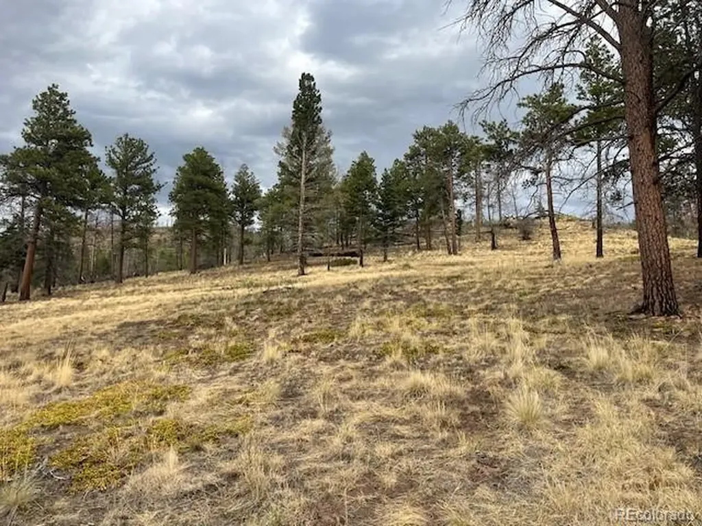 Lot 369-370 Powers Road Fort Garland CO 81133