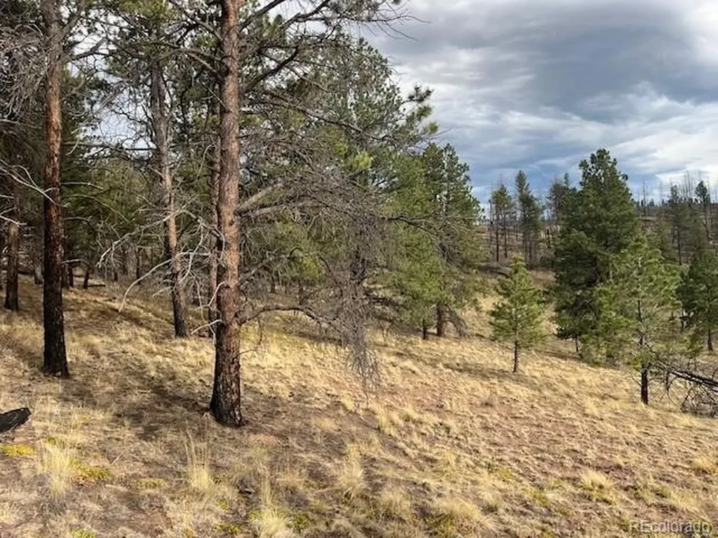 Lot 369-370 Powers Road Fort Garland CO 81133