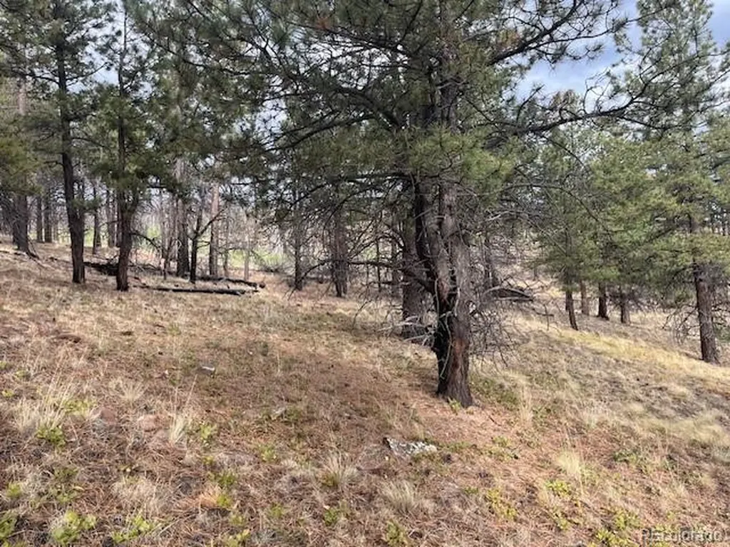 Lot 369-370 Powers Road Fort Garland CO 81133