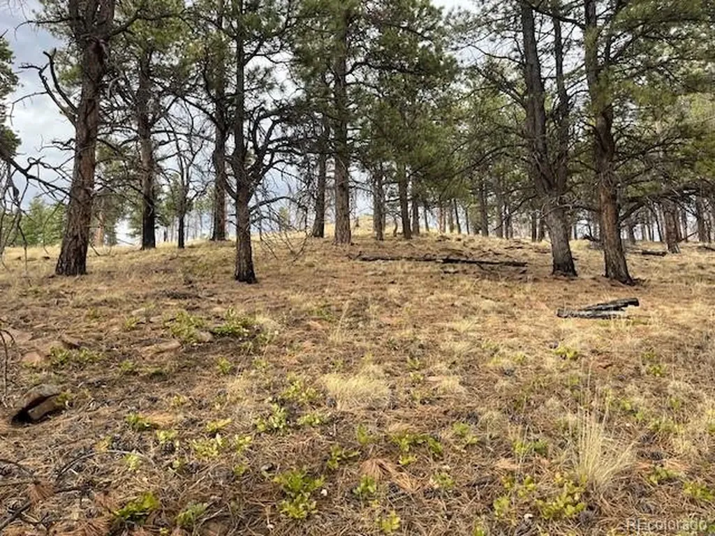 Lot 369-370 Powers Road Fort Garland CO 81133