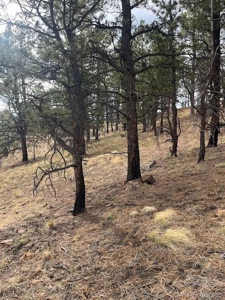 Lot 369-370 Powers Road Fort Garland CO 81133