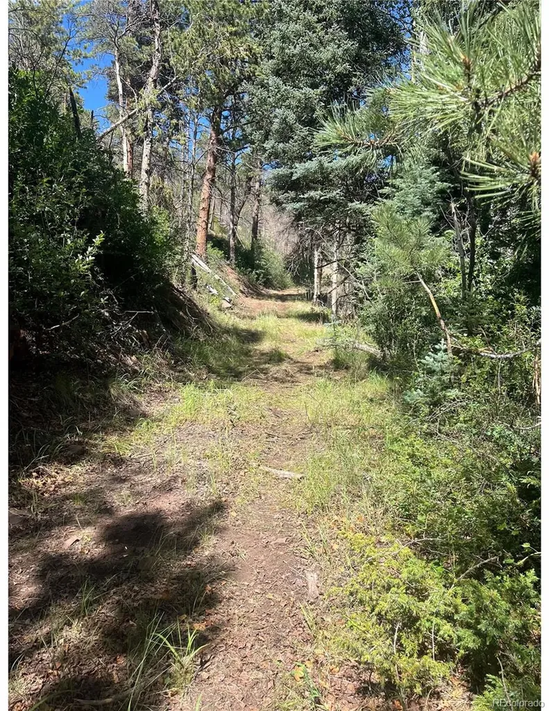 Lot 369-370 Powers Road Fort Garland CO 81133