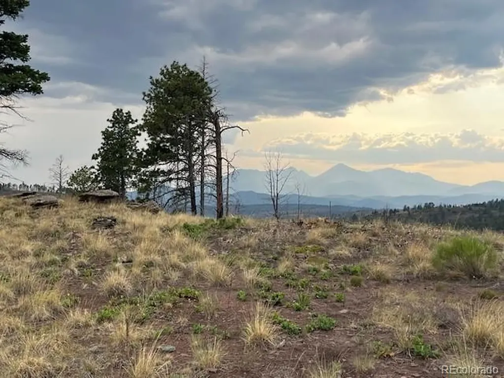 Lot 369-370 Powers Road Fort Garland CO 81133