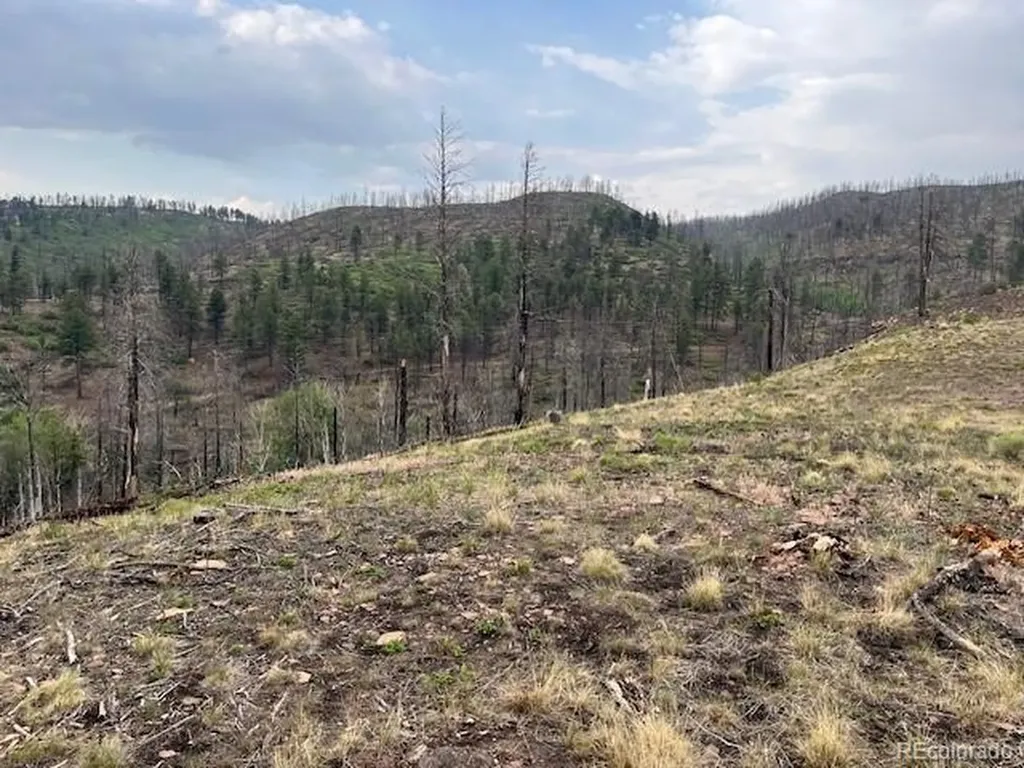 Lot 369-370 Powers Road Fort Garland CO 81133