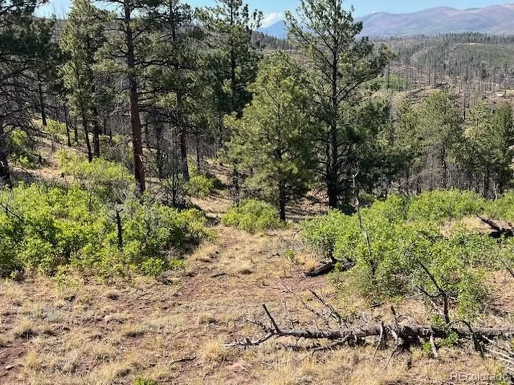 Lot 369-370 Powers Road Fort Garland CO 81133