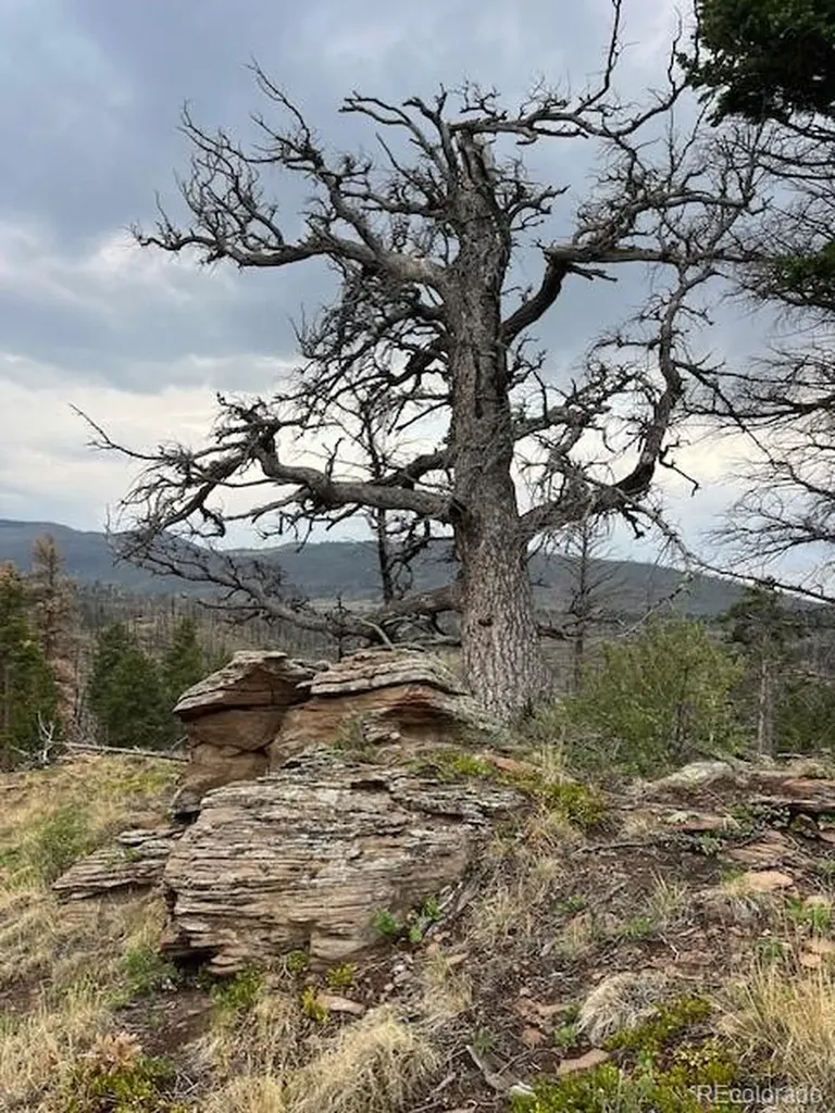 Lot 369-370 Powers Road Fort Garland CO 81133