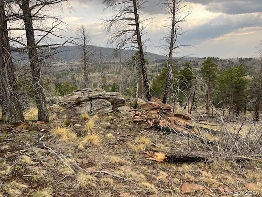 Lot 369-370 Powers Road Fort Garland CO 81133