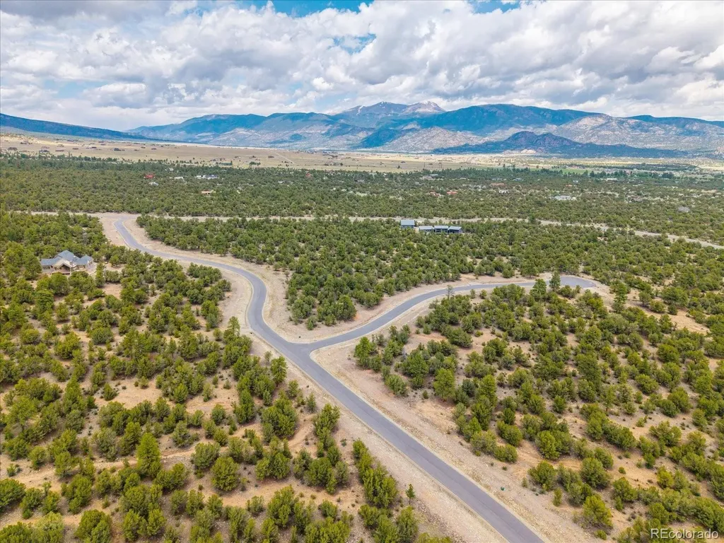 28922 Timber Ridge Buena Vista CO 81211