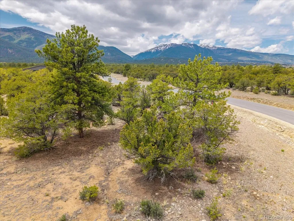 28922 Timber Ridge Buena Vista CO 81211