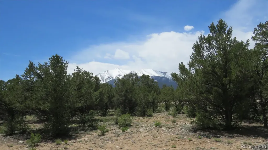 28922 Timber Ridge Buena Vista CO 81211