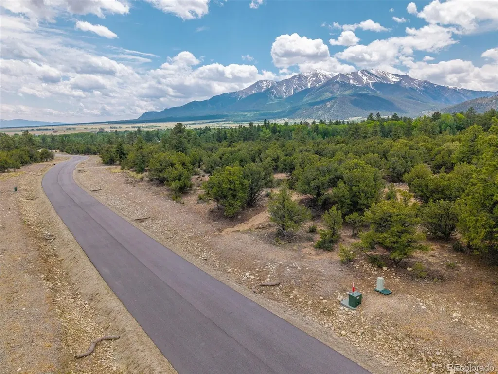 28922 Timber Ridge Buena Vista CO 81211
