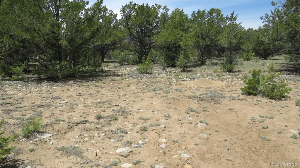 28922 Timber Ridge Buena Vista CO 81211