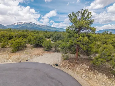 28922 Timber Ridge Buena Vista CO 81211
