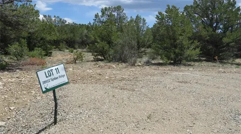 28922 Timber Ridge Buena Vista CO 81211