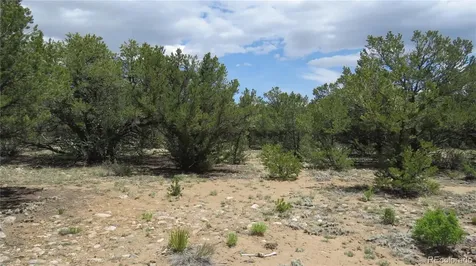 28922 Timber Ridge Buena Vista CO 81211
