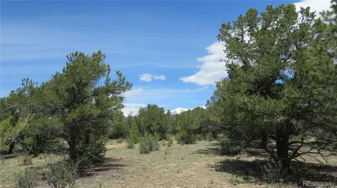 28922 Timber Ridge Buena Vista CO 81211