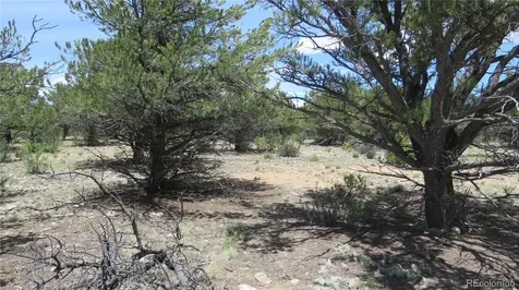 28922 Timber Ridge Buena Vista CO 81211