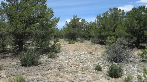 28922 Timber Ridge Buena Vista CO 81211