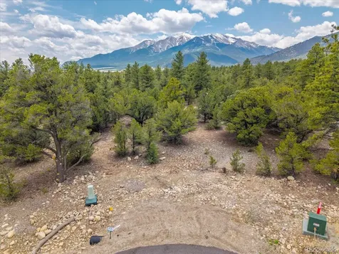 28922 Timber Ridge Buena Vista CO 81211