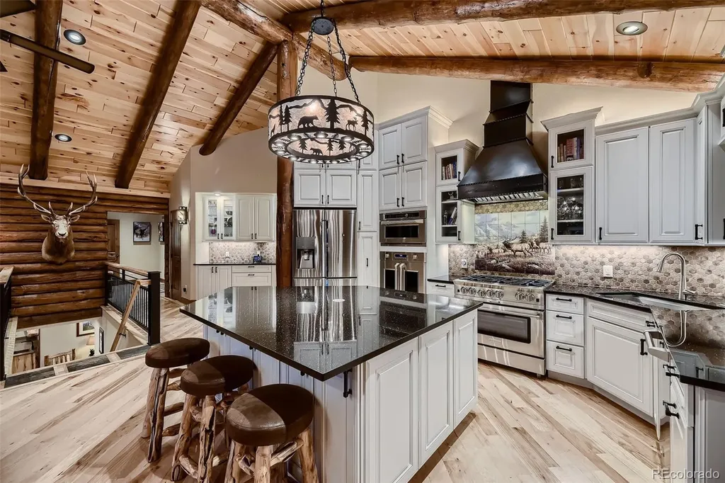 13116 S Noka Trail Pine CO 80470