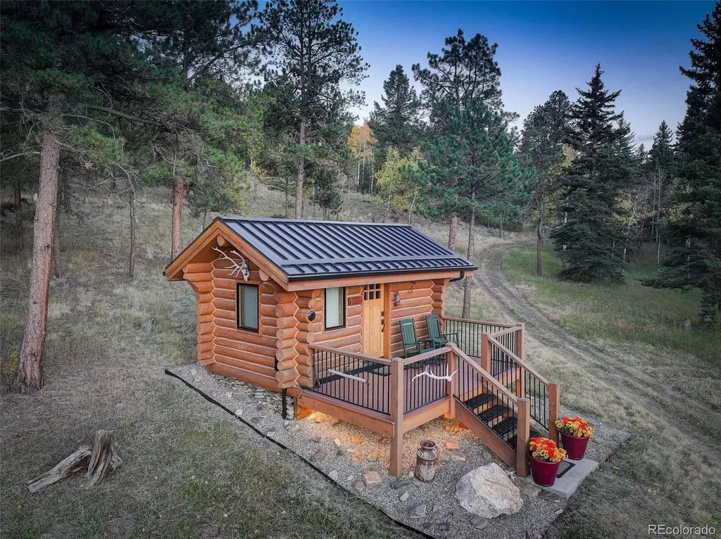 13116 S Noka Trail Pine CO 80470