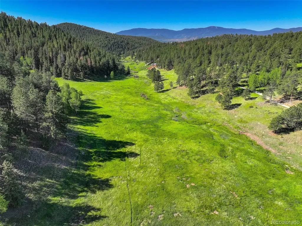 13116 S Noka Trail Pine CO 80470