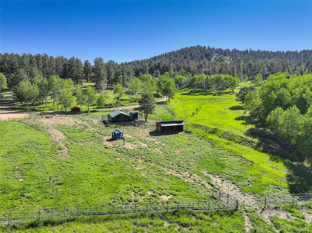 13116 S Noka Trail Pine CO 80470