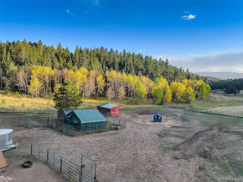 13116 S Noka Trail Pine CO 80470