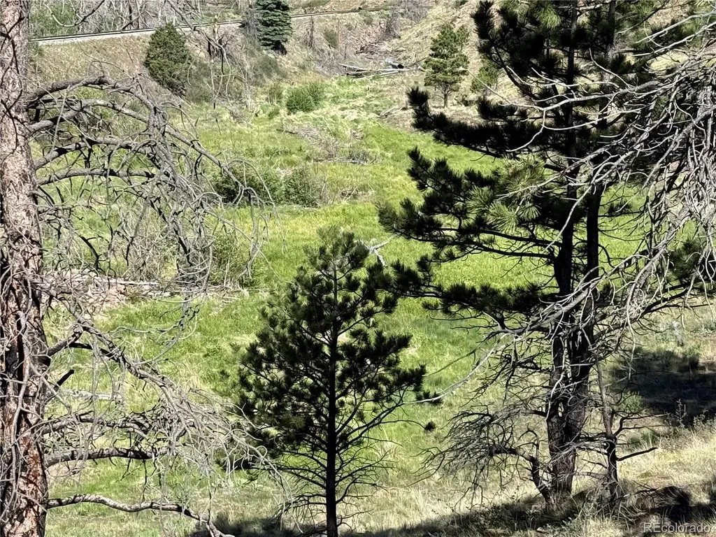 Lot 377 Powers Road Fort Garland CO 81133