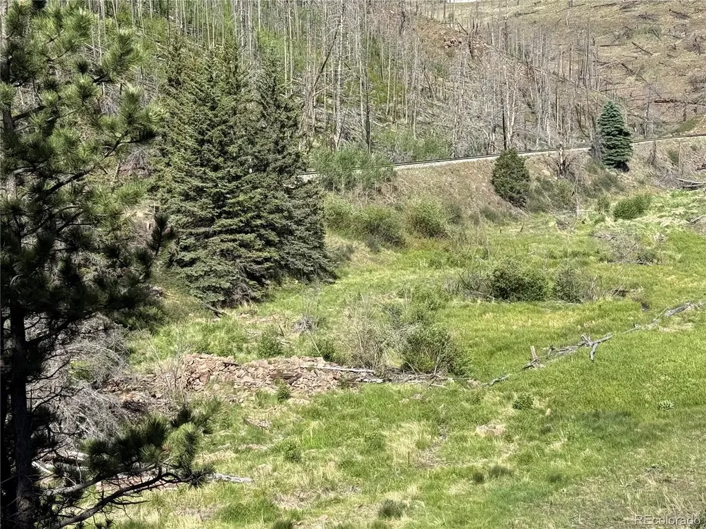 Lot 377 Powers Road Fort Garland CO 81133