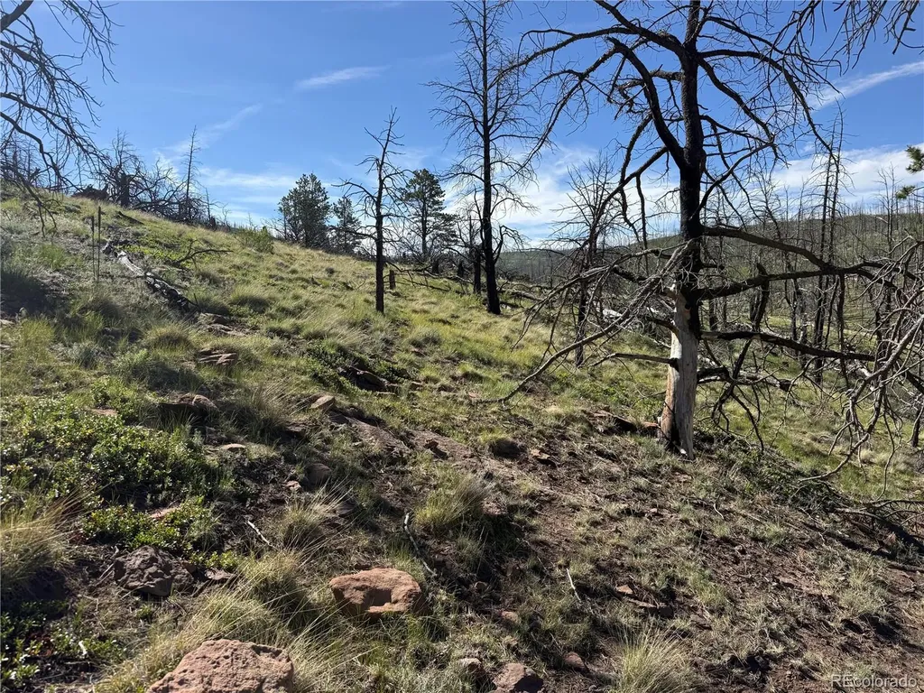 Lot 377 Powers Road Fort Garland CO 81133
